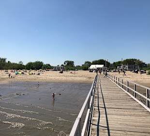 Strand Krautsand