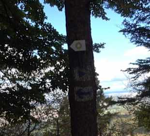 Geschichtslehrpfad Streichen