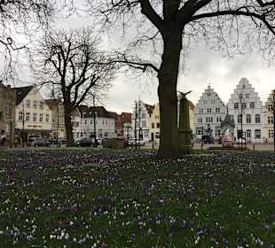 Stadtrundgang Friedrichstadt