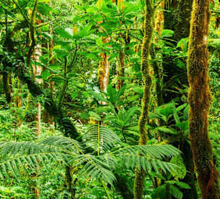 Metropolitan Natural Park