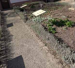 Apothekergarten Ettlingen