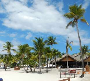 Essen wurde im Schatten angeboten