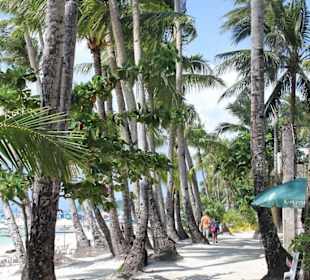 Beach Walkway 