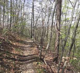 Wanderweg Hochgehkämpft