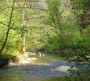 Relativ ruhiges Wasser