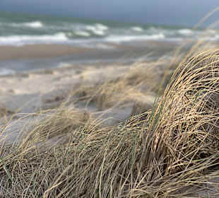 Strand Zingst