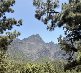 Wandern Los Cancajos