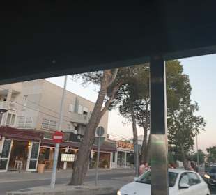 Stadtrundfahrt Alcudia