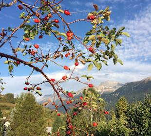 Wandern und Naturschönheiten geniessen