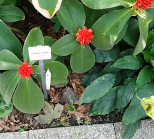 Botanischer Garten 