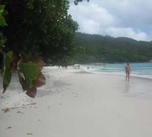 Schönste Strand auf Praslin d. Anse Lazio