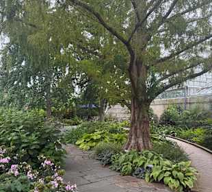 Botanischer Garten in Washington 