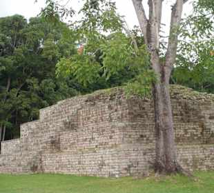 Copan