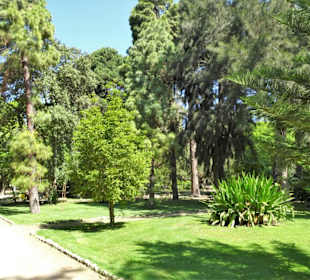 Rundgang durch den Botanischen Garten Cagliari