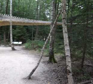 Dinosaurier Museum Altmühltal