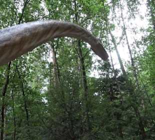 Dinosaurier Museum Altmühltal