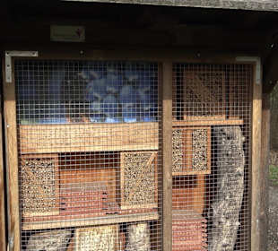 Gomaringer Rundweg - Zu den Giganten im Wald