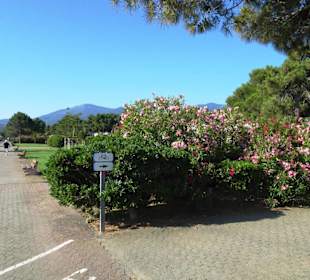 Spaziergang über die Strandpromenade Argelès-Plage
