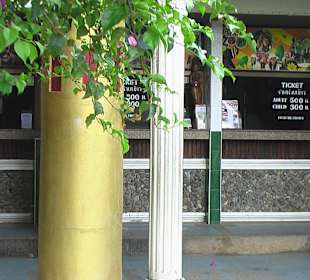 Phuket Zoo - Eintrittspreise