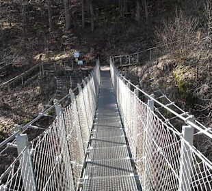 Hängebrücke im Fürstlichen Park