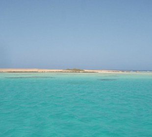 El Qulaan
