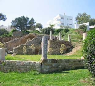 Ruins of a roman villa