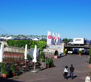 Zum Rheinufer runter