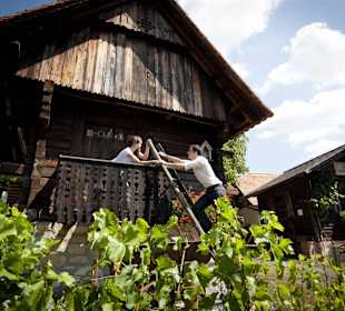 Freilichtmuseum Trautmannsdorf