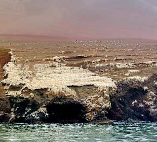 Ausflug Ballestas Inseln