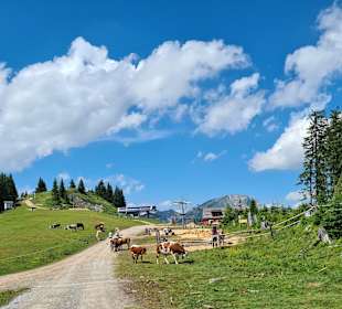 Wandern Rußbach am Paß Gschütt