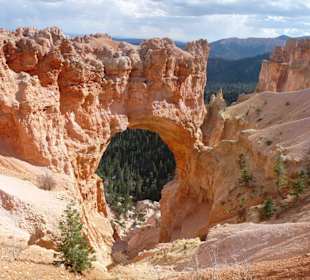 Bryce Canyon N.P.