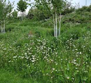 Naturbereiche