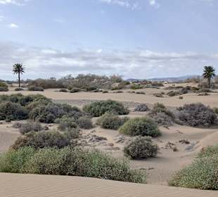 Dünen v. Maspalomas!
