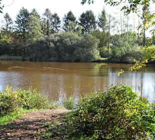 Impressionen vom Spaziergang am Drielaker See