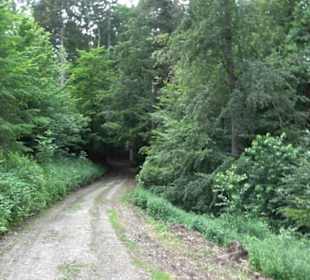Schutzgebiet Spitzberg, Pfaffenberg