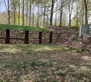 Keltischer Donnersberg