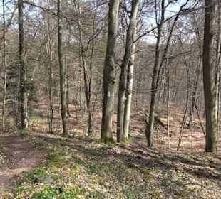 Geologischer Lehrpfad Kirnbachtal