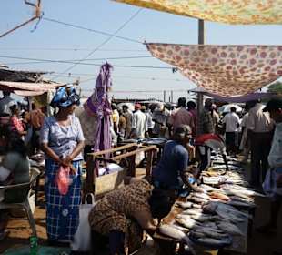 Ein Bummel durch den Fischmarkt