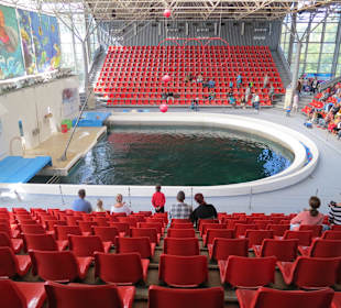 Delfinarium