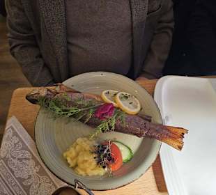 Tagesgericht Forelle