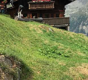 Wandern Arzl im Pitztal