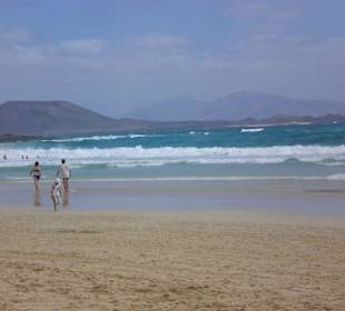 Dünen Strand bei Corralejo