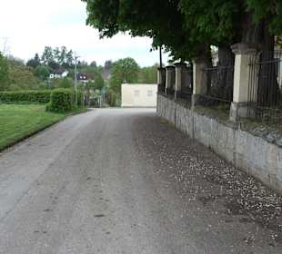 Schloss Amerdingen