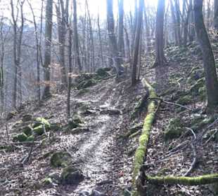 Wasserfallsteig