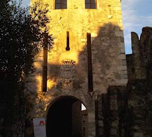 Das schöne Eingangstor