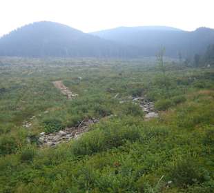 Parcul Natural Apuseni