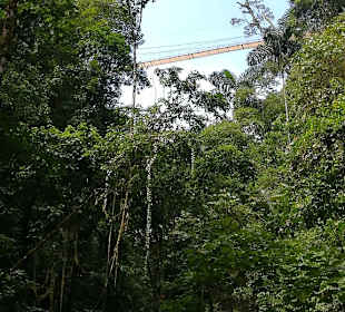 Hängebrücken Nationalpark