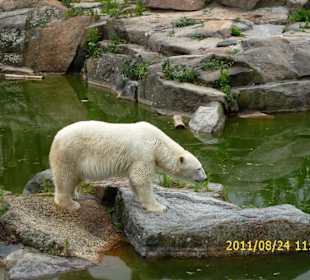Besuch im Berliner Zoo
