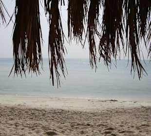 Turtle Bay Abu Dabbab