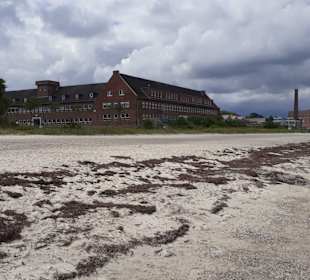 Eckernförder Bucht in Eckernförde